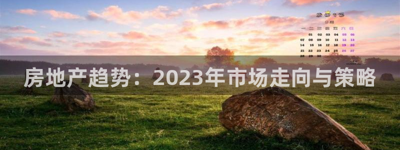 新宝5登陆：房地产趋势：2023年市场走向与策略
