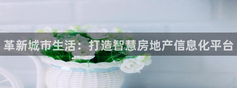 新宝5是谁：革新城市生活：打造智慧房地产信息化平台