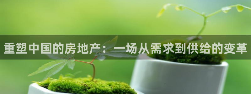 新宝5测速：重塑中国的房地产：一场从需求到供给的变革