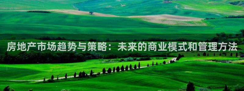 有人知道新宝5么：房地产市场趋势与策略：未来的商业模式和管理