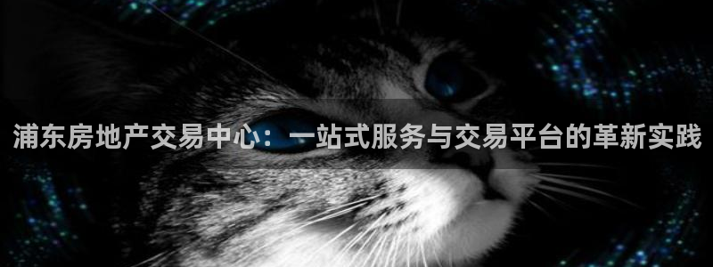新宝5黑彩