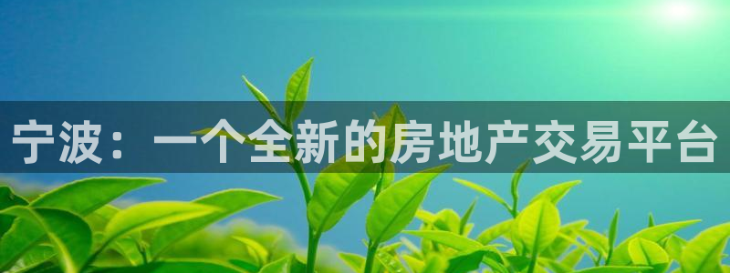 新宝5注册账号：宁波：一个全新的房地产交易平台