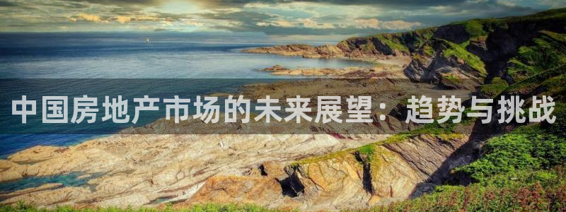 有人知道新宝5么：中国房地产市场的未来展望：趋势与挑战