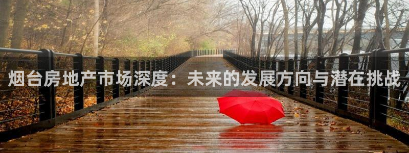 新宝测速5：烟台房地产市场深度：未来的发展方向与潜在挑战