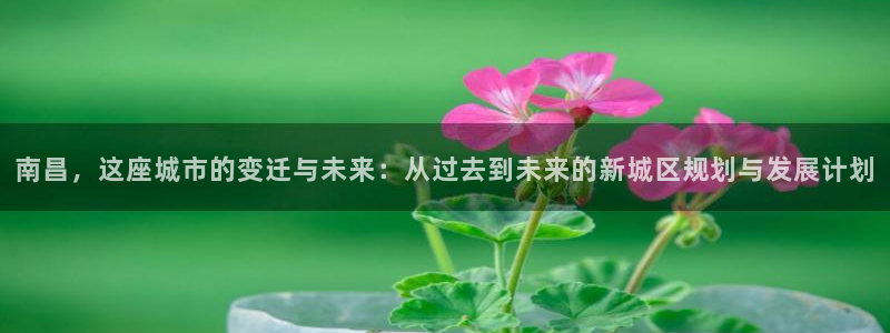 新宝5官方：南昌，这座城市的变迁与未来：从过去到未来的新城区
