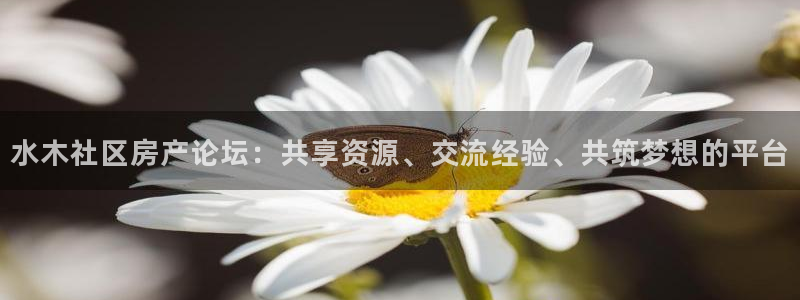 新宝新5：水木社区房产论坛：共享资源、交流经验、共筑梦想的平