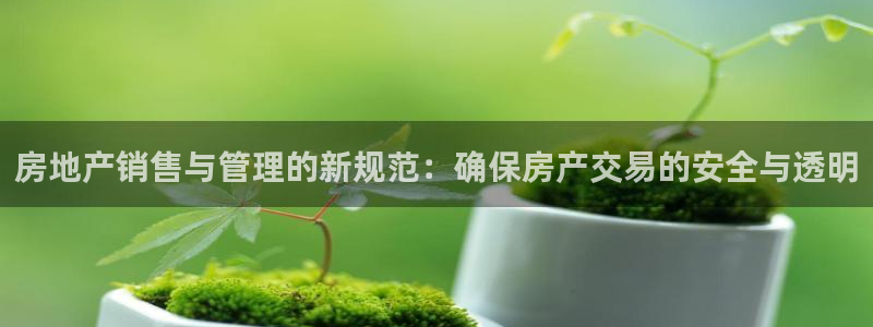 新宝5娱乐同：房地产销售与管理的新规范：确保房产交易的安全与