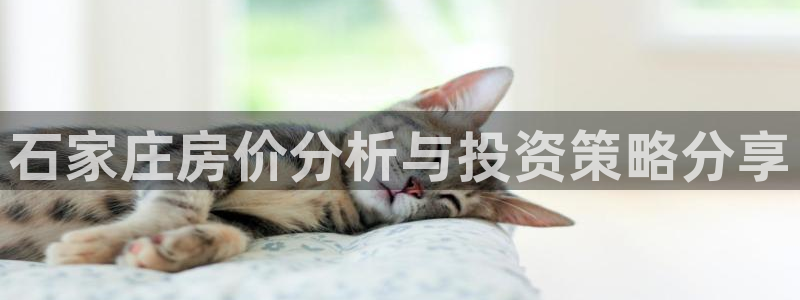 新宝5总代：石家庄房价分析与投资策略分享