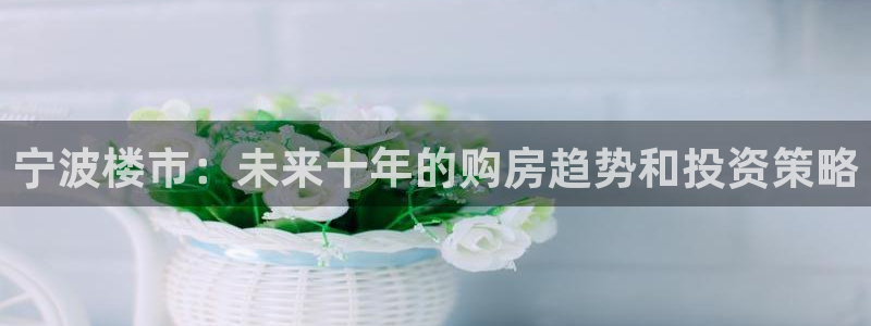 新宝5在哪里：宁波楼市：未来十年的购房趋势和投资策略