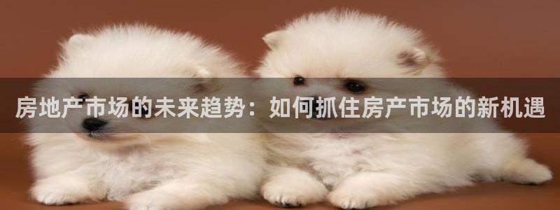 老新宝5授权登录：房地产市场的未来趋势：如何抓住房产市场的新
