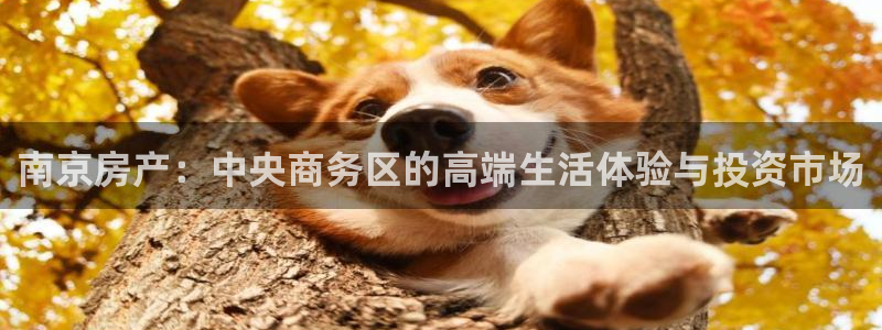 新宝5得74OOO5：南京房产：中央商务区的高端生活体验与投