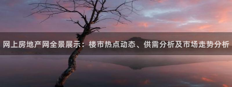 新宝5测速下载：网上房地产网全景展示：楼市热点动态、供需分析
