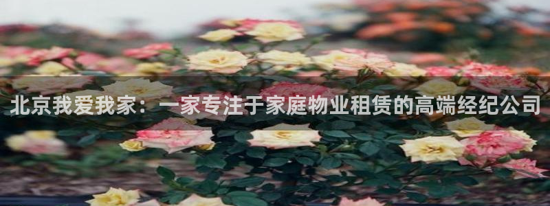 新宝5开户：北京我爱我家：一家专注于家庭物业租赁的高端经纪公