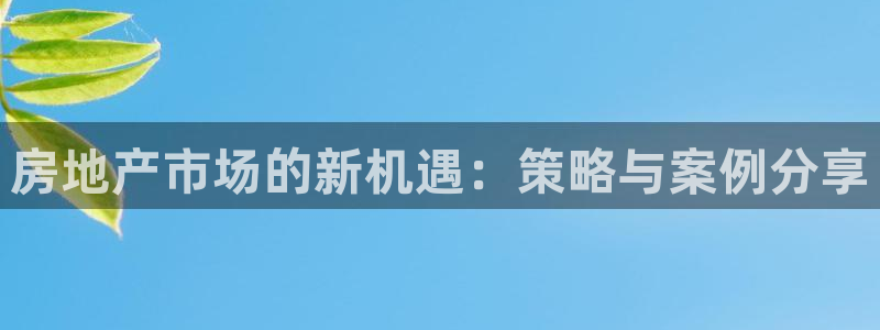 新宝5app：房地产市场的新机遇：策略与案例分享