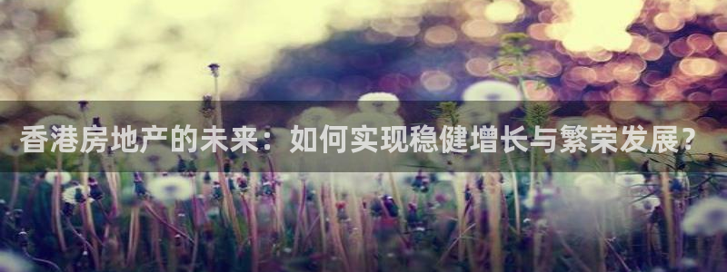 新宝5平台登陆：香港房地产的未来：如何实现稳健增长与繁荣发展