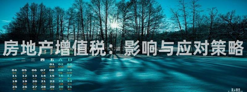 新宝5平台注册资金：房地产增值税：影响与应对策略