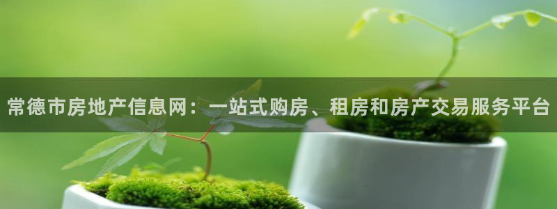 新宝5怎么代理：常德市房地产信息网：一站式购房、租房和房产交