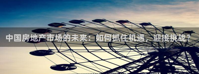 新宝5官网平台：中国房地产市场的未来：如何抓住机遇，迎接挑战