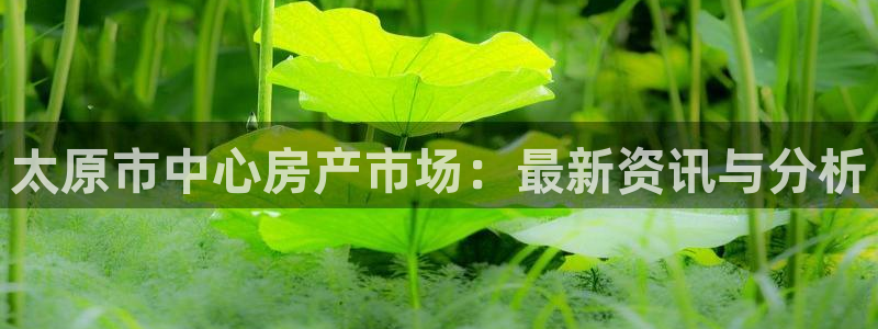 新宝5下载 迅雷下载：太原市中心房产市场：最新资讯与分析