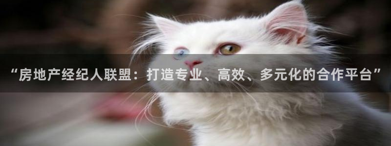 新宝5飞355051：“房地产经纪人联盟：打造专业、高效、多
