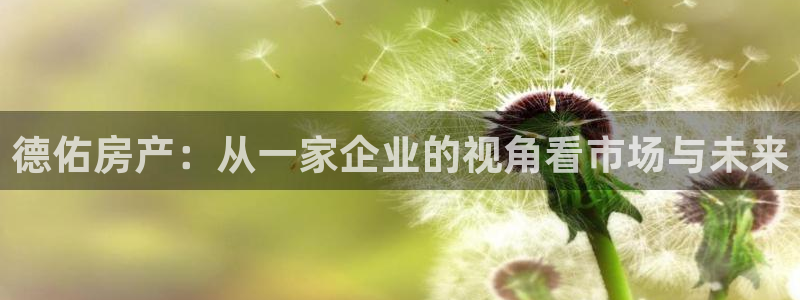 新宝5玩法：德佑房产：从一家企业的视角看市场与未来