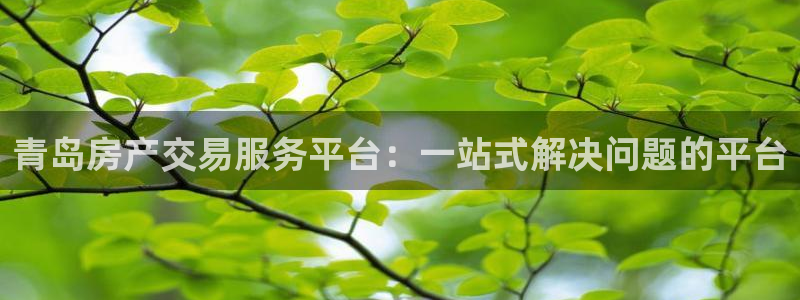 皇冠新宝5：青岛房产交易服务平台：一站式解决问题的平台