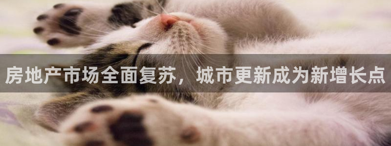 新宝5注册流程：房地产市场全面复苏，城市更新成为新增长点