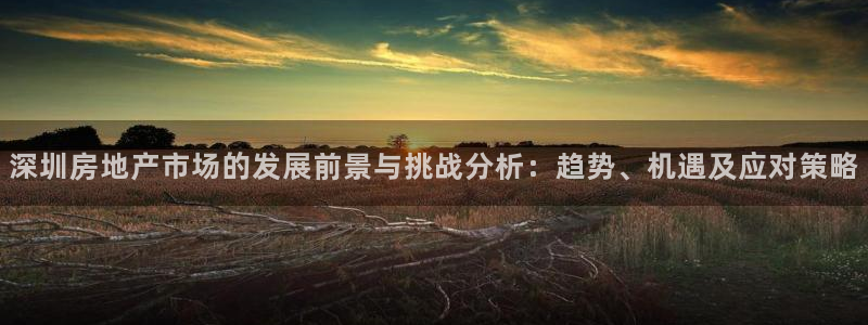 新宝5平台登录下载软件：深圳房地产市场的发展前景与挑战分析：