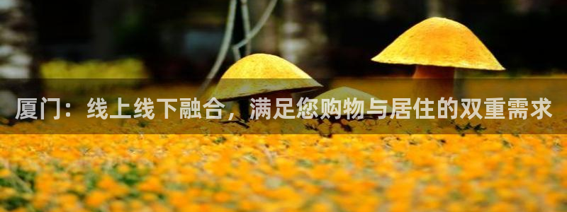 新宝G5：厦门：线上线下融合，满足您购物与居住的双重需求