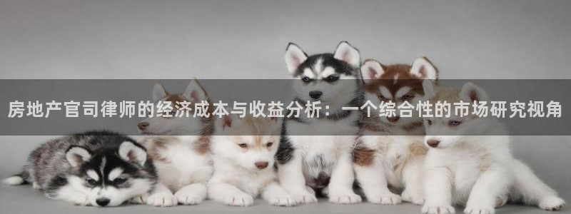 新宝5测速线路：房地产官司律师的经济成本与收益分析：一个综合