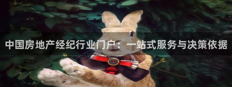 新宝5手机app：中国房地产经纪行业门户：一站式服务与决策依