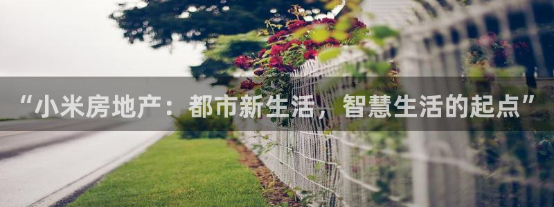 新5宝：“小米房地产：都市新生活，智慧生活的起点”