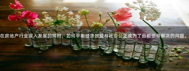 新宝5黑：在房地产行业深入发展的同时，如何平衡经济效益与社会