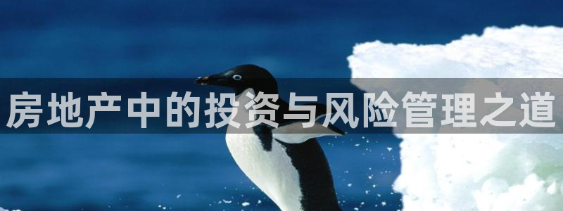 新宝5挂机软件：房地产中的投资与风险管理之道