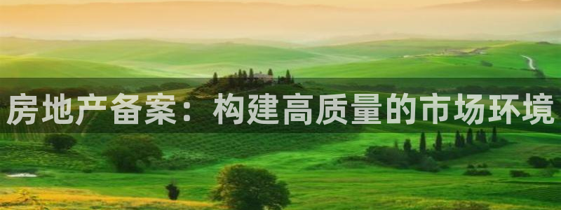 新宝5官方网站：房地产备案：构建高质量的市场环境