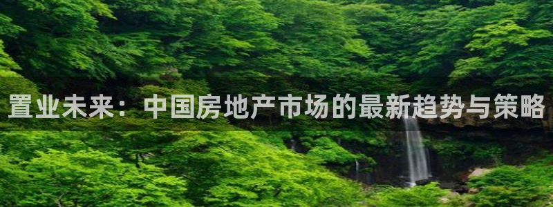 新宝5找找74OOO5：置业未来：中国房地产市场的最新趋势与