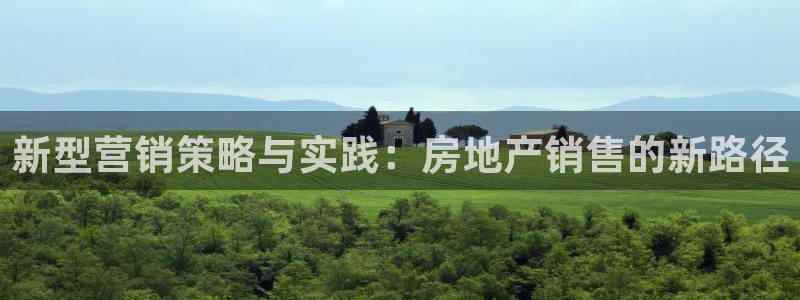 新宝5公司：新型营销策略与实践：房地产销售的新路径