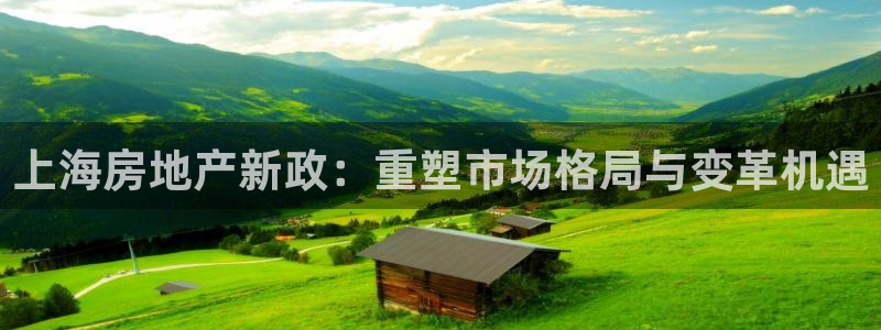 新宝5登陆地址：上海房地产新政：重塑市场格局与变革机遇