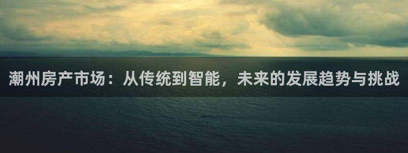 新宝5苹果手机下载：潮州房产市场：从传统到智能，未来的发展趋
