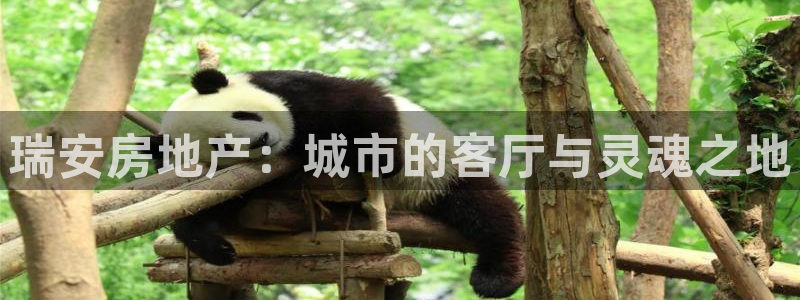 新宝5娱乐招商：瑞安房地产：城市的客厅与灵魂之地