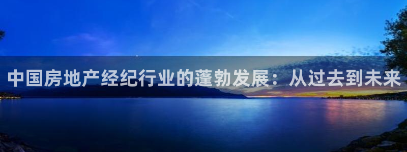 新宝5官网：中国房地产经纪行业的蓬勃发展：从过去到未来