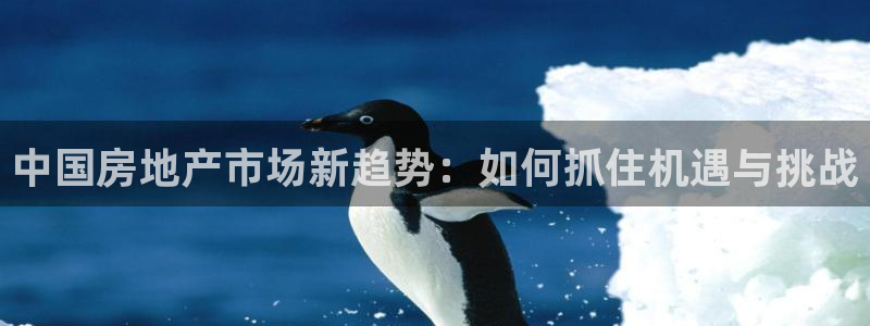 新宝5户端：中国房地产市场新趋势：如何抓住机遇与挑战