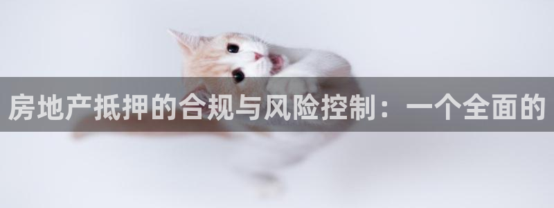 新宝5是谁的：房地产抵押的合规与风险控制：一个全面的