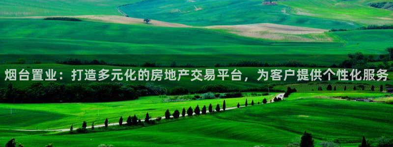新宝5_测：烟台置业：打造多元化的房地产交易平台，为客户提供
