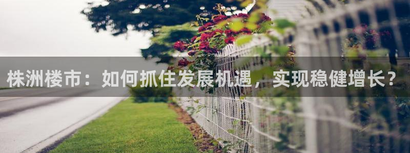 新宝5平台霸：株洲楼市：如何抓住发展机遇，实现稳健增长？