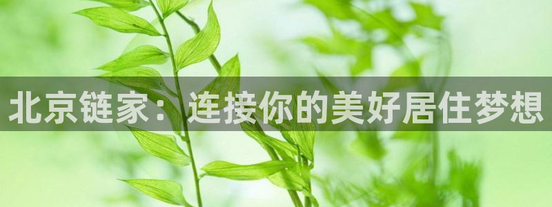新宝5公司：北京链家：连接你的美好居住梦想
