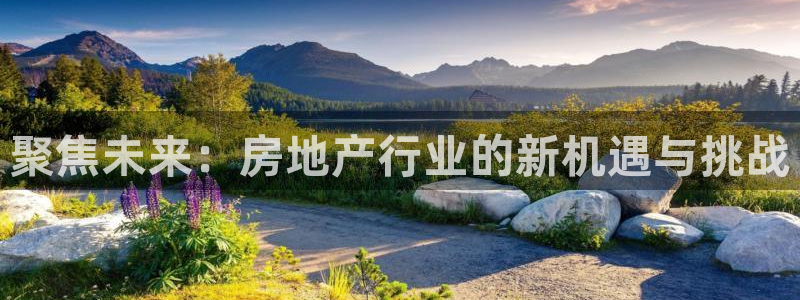 新宝5链接：聚焦未来：房地产行业的新机遇与挑战