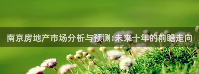 新宝5苹果手机下载：南京房地产市场分析与预测:未来十年的前瞻