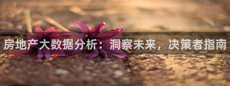 新宝5：房地产大数据分析：洞察未来，决策者指南