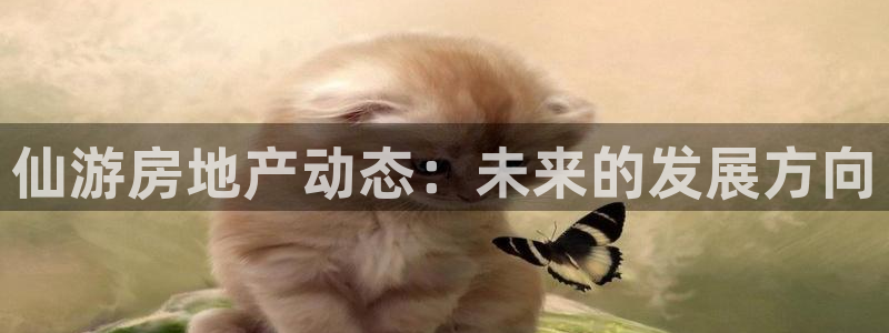 新宝5官网67五壹叁八：仙游房地产动态：未来的发展方向
